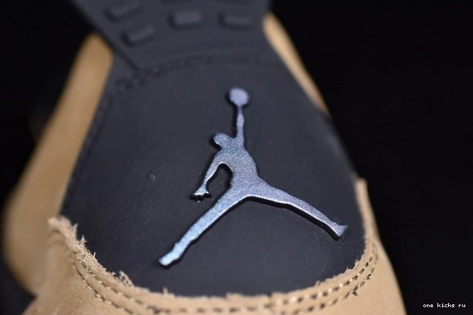 Chep Onekick 4 Jordan Mushroom Air AQ9129-200 0701